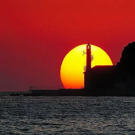 Appartamento Miodrag Zara